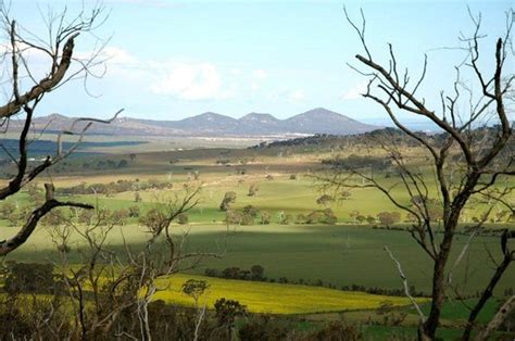 You Yangs Bed and Breakfast .